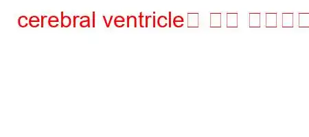 cerebral ventricle은 무슨 뜻인가요